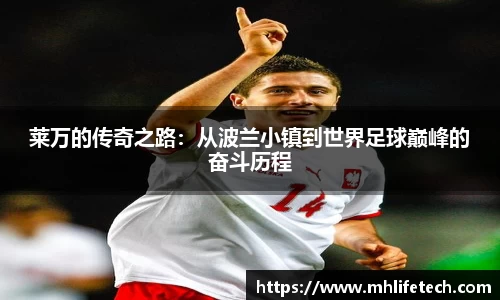 3377体育官网